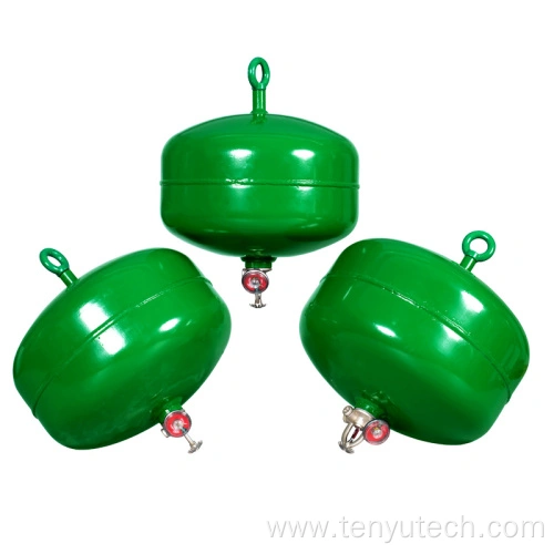 OEM-Feuerl&ouml;scher an der Decke montiert